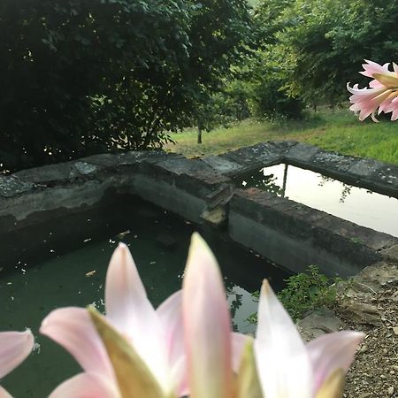 Relax Nella Natura Bolano Экстерьер фото