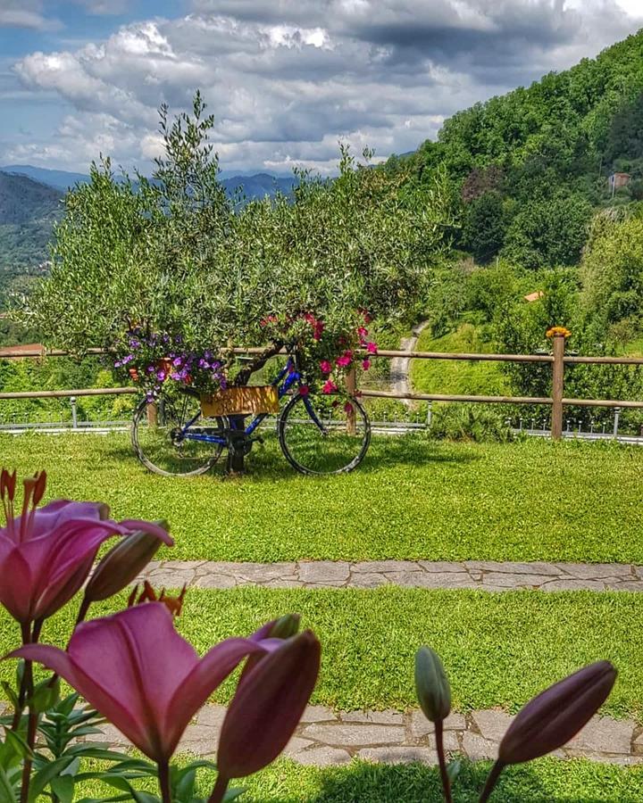 Relax Nella Natura Bolano Экстерьер фото