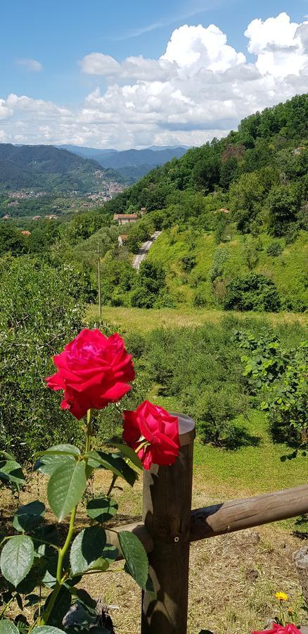 Relax Nella Natura Bolano Экстерьер фото